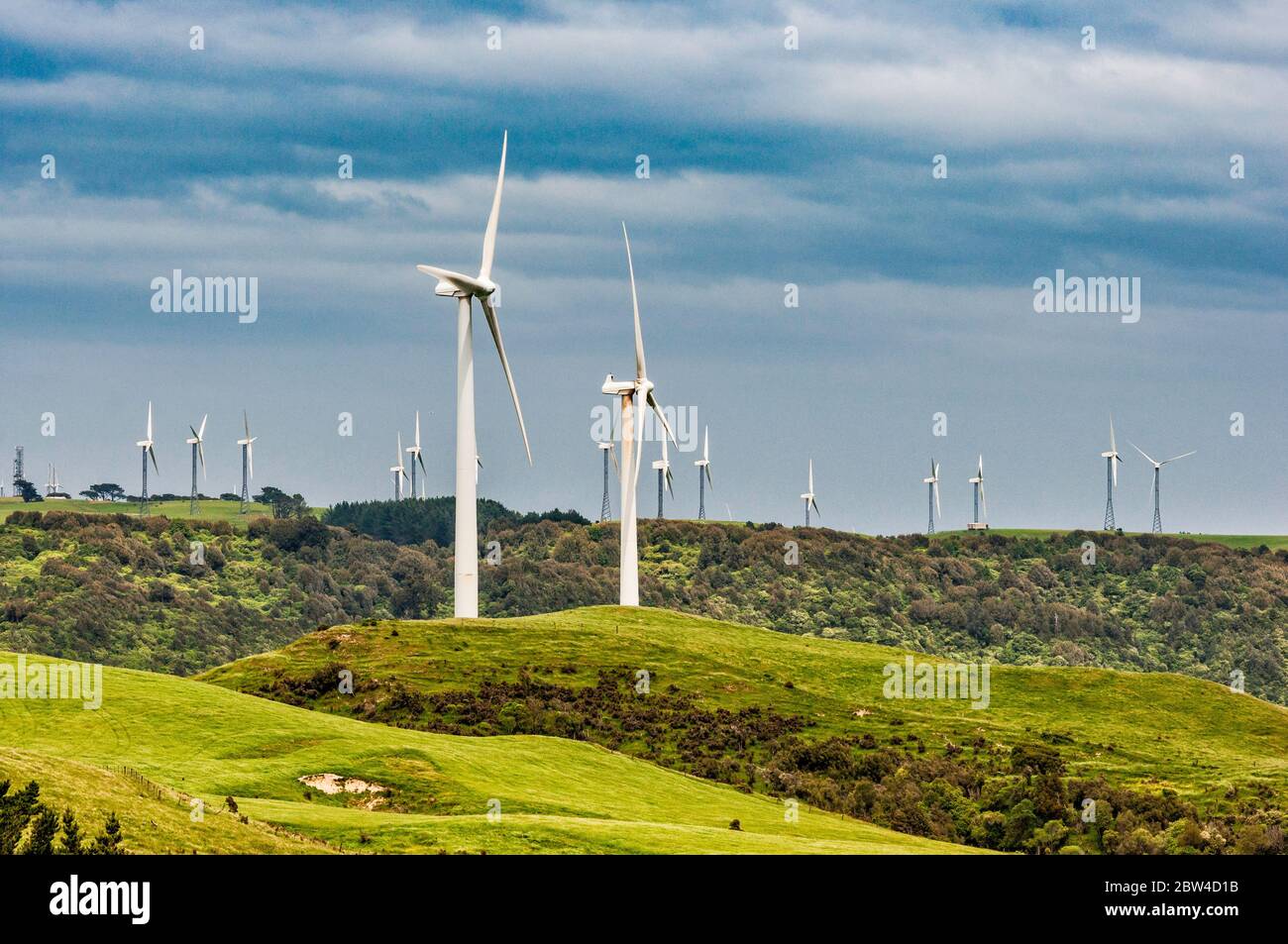 Windturbinen auf dem Windpark Te Apiti, Tararua Windpark in weiter Ferne, über Manawatu Gorge, Saddle Road, Wanganui Region, North Island, Neuseeland Stockfoto