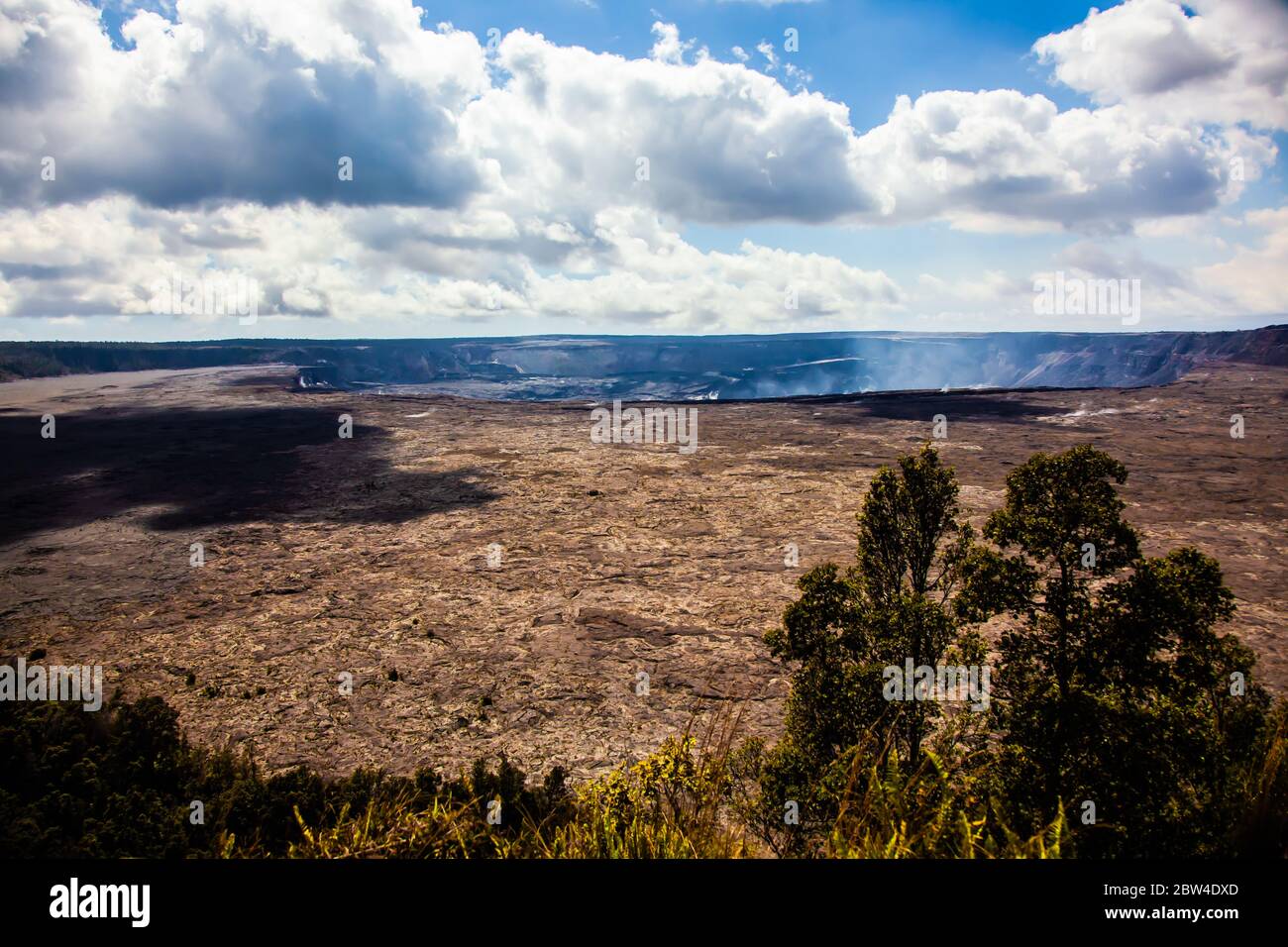 Landschaft von dampfenden Bluff, mit geothermischen Dampf auf vulkanischem Land im Hawaii National Park, Hilo, USA Stockfoto