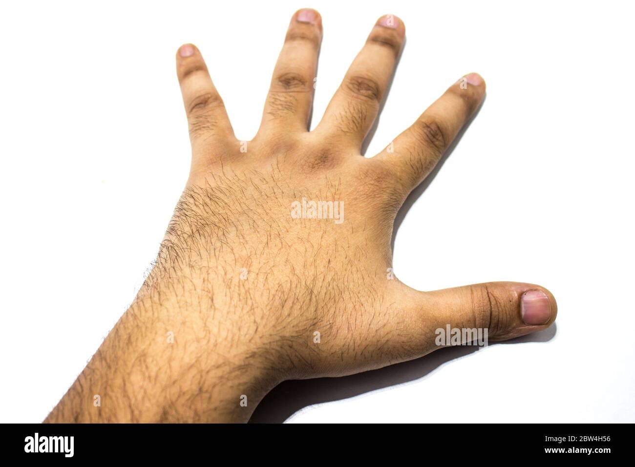 Ein Bild der Hand auf weißem Hintergrund Stockfoto