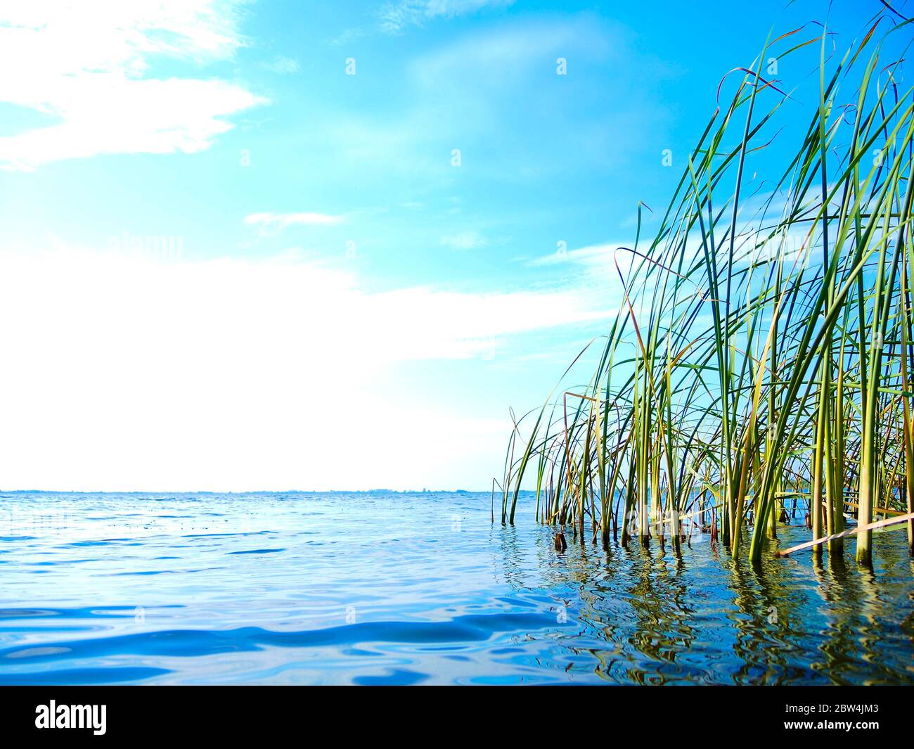 Ein Sommertag am See - ruhiges blaues Wasser und abgelegener Horizont, blasse weiße Wolken. Stockfoto