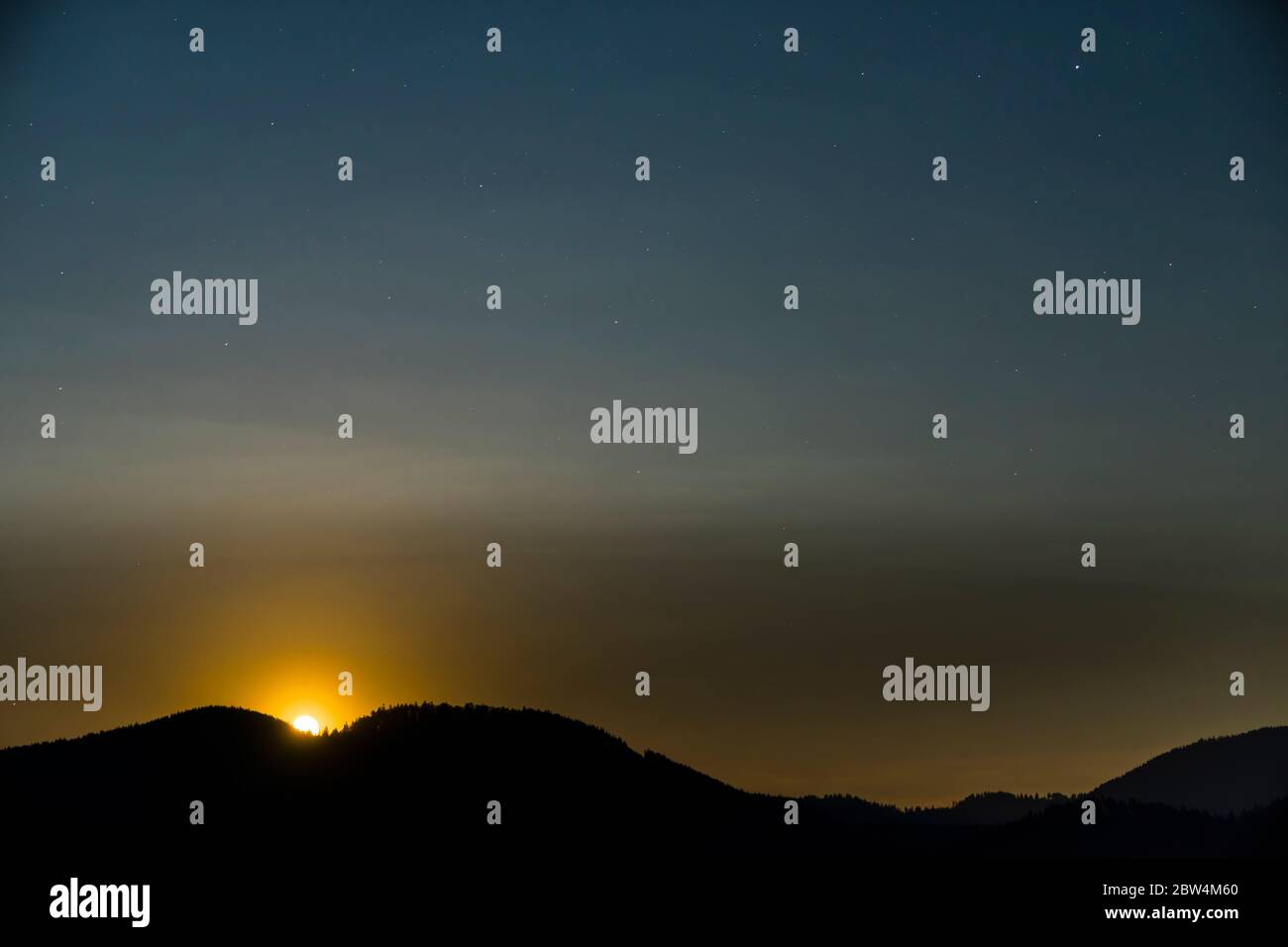 Deutschland, schöne bewegte Sterne und Mondaufgang über schwarzen Waldbäumen Silhouette einsamen Baum in der dunklen Nacht Stockfoto