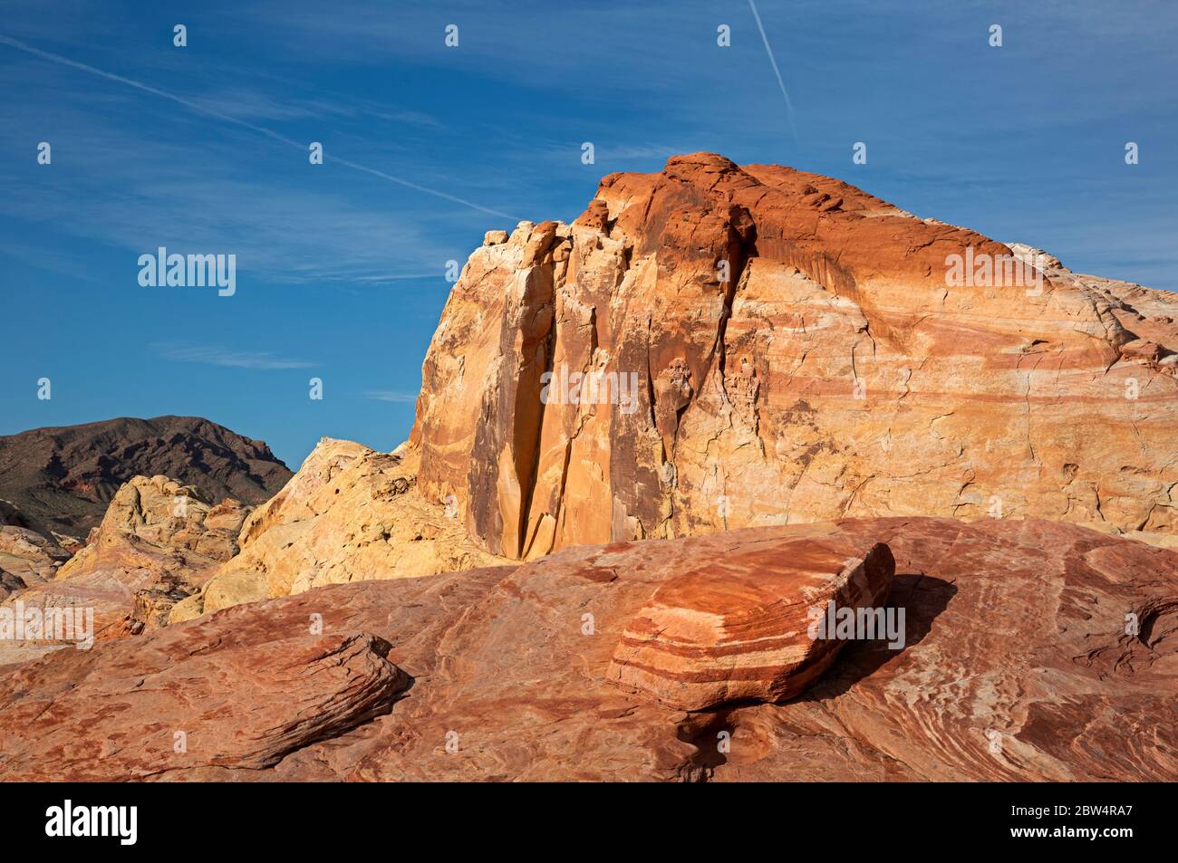 NV00163-00...NEVADA - heller Sandstein auf Parkplatz 3 im Valley of Fire State Park. Stockfoto