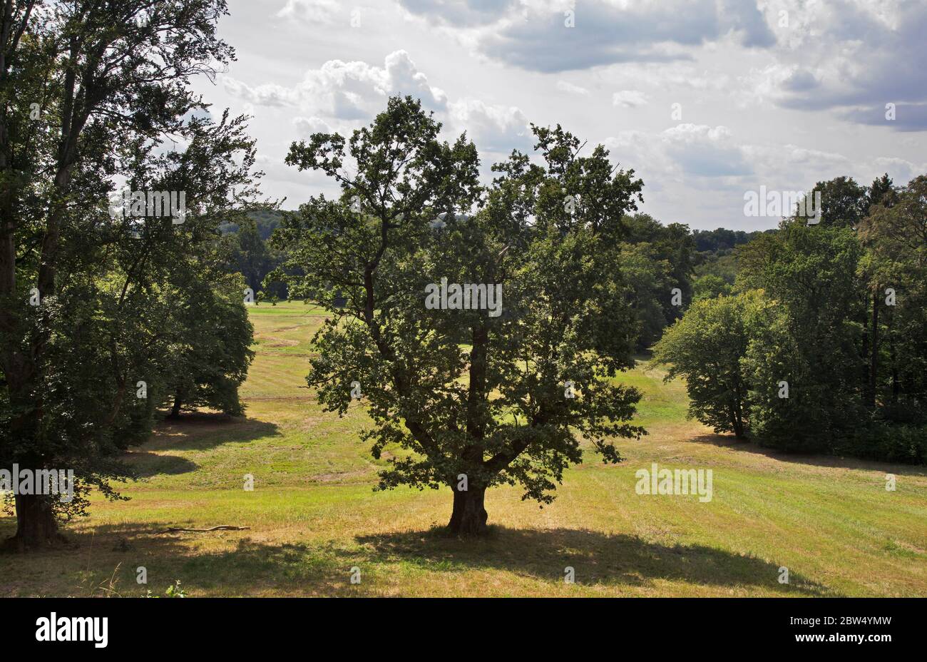 Park Muzakowski (Park von Muskau) in der Nähe von Leknica. UNESCO-Weltkulturerbe. Polen Stockfoto