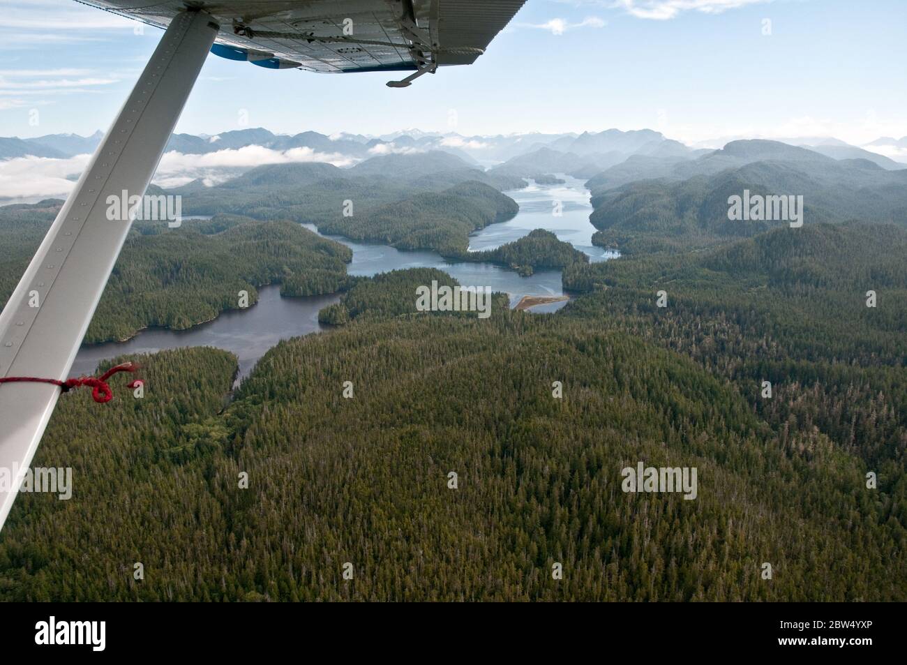 Eine Luftaufnahme des dichten Waldes und der pazifischen Küstengewässer des Great Bear Rainforest an der zentralen Küste in British Columbia, Kanada. Stockfoto