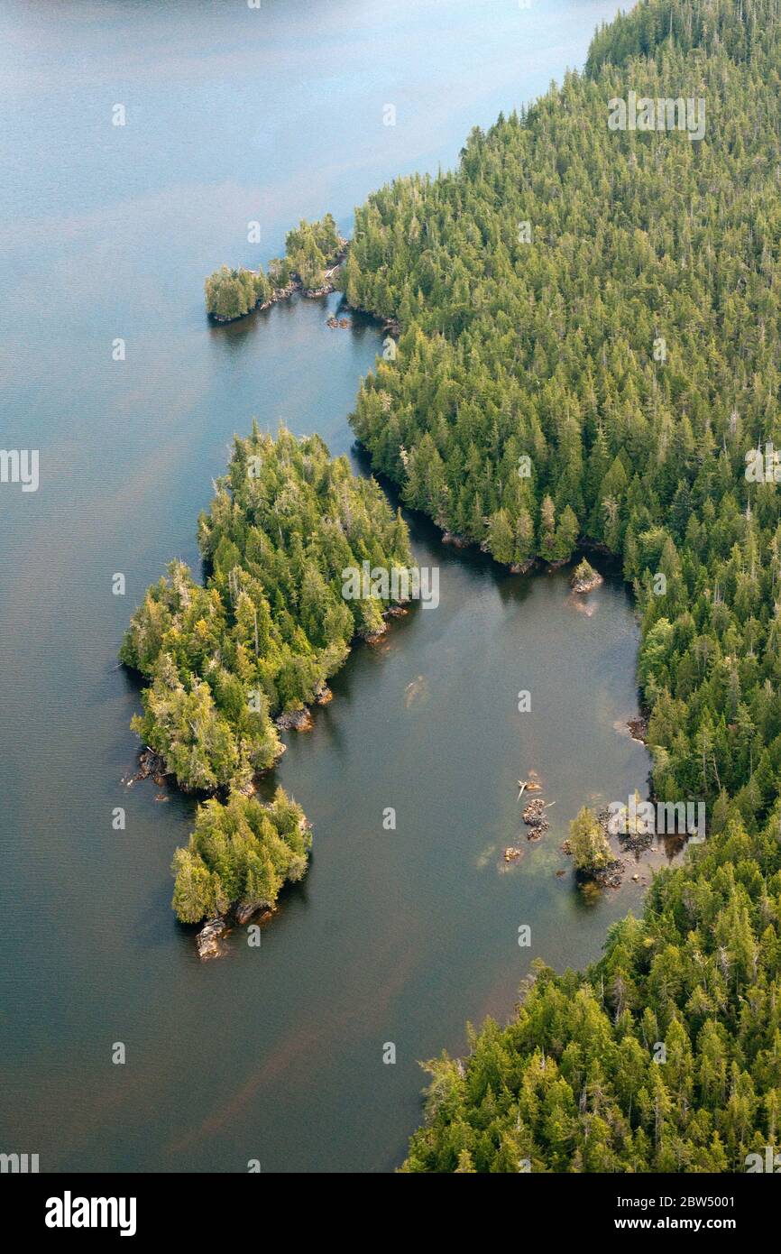 Eine Luftaufnahme des dichten Waldes und der pazifischen Küstengewässer des Great Bear Rainforest an der zentralen Küste in British Columbia, Kanada. Stockfoto