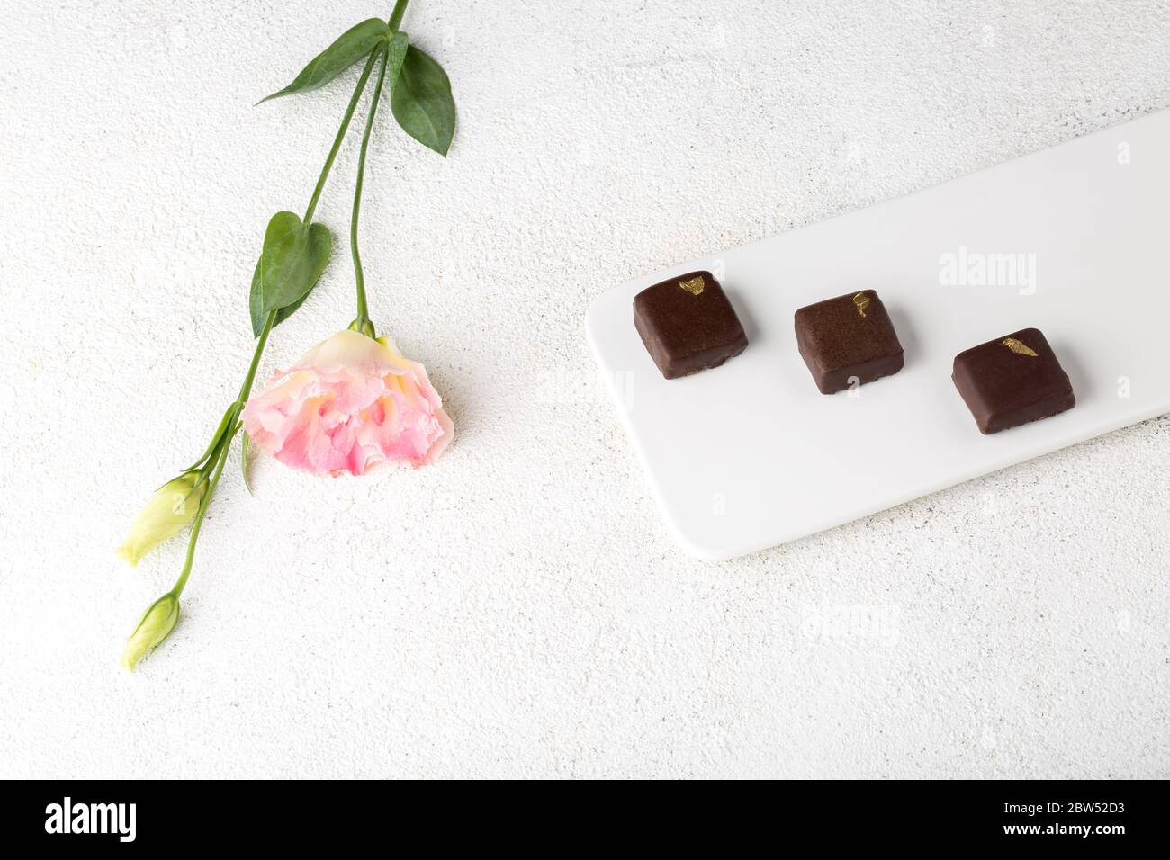 Handgemachte Pralinen auf einem weißen Teller. Dekorativer Steinhintergrund. Stockfoto