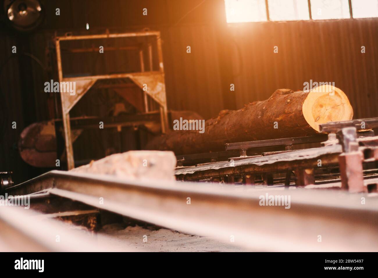 Frische Schnitt Kiefer Holz Log Verarbeitung auf Sägemaschine in der Holzproduktionsmühle. Holzwerkstoff Verarbeitung und Schneiden in der Holzherstellung Fabrik. Stockfoto
