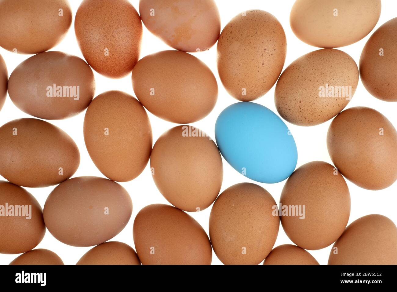 Nahaufnahme eines blauen eistuhns umgeben von frischen Eiern auf weißem Hintergrund Stockfoto