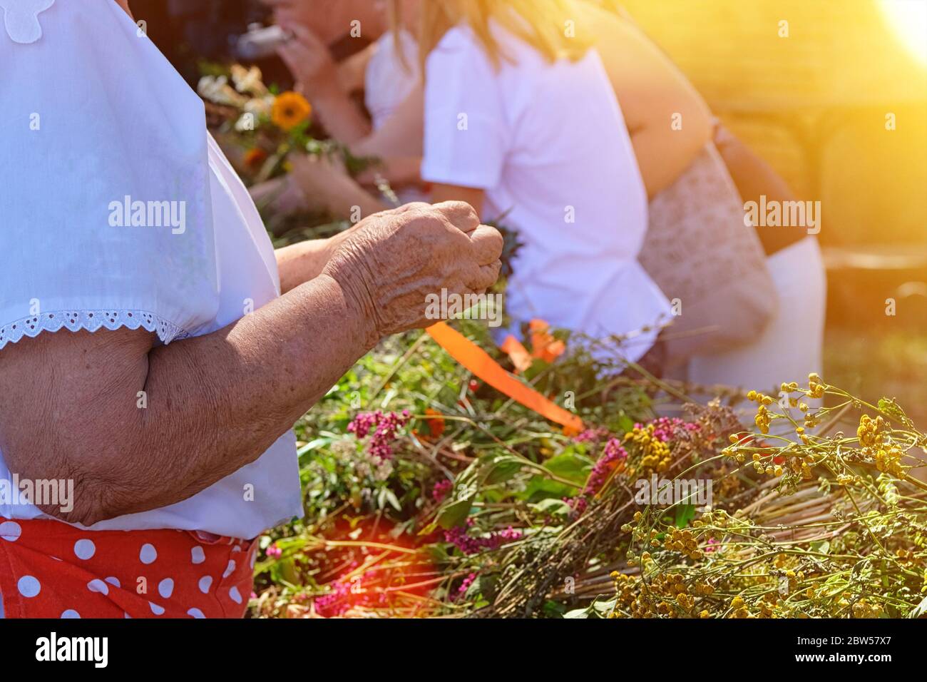 Ältere Frau webt einen Kranz auf dem Kopf mit Wildblumen und Wiesengräsern. Verschiedene Feldblumen, wunderbare Tradition. Sonniger Tag, warmes Wetter. Stockfoto