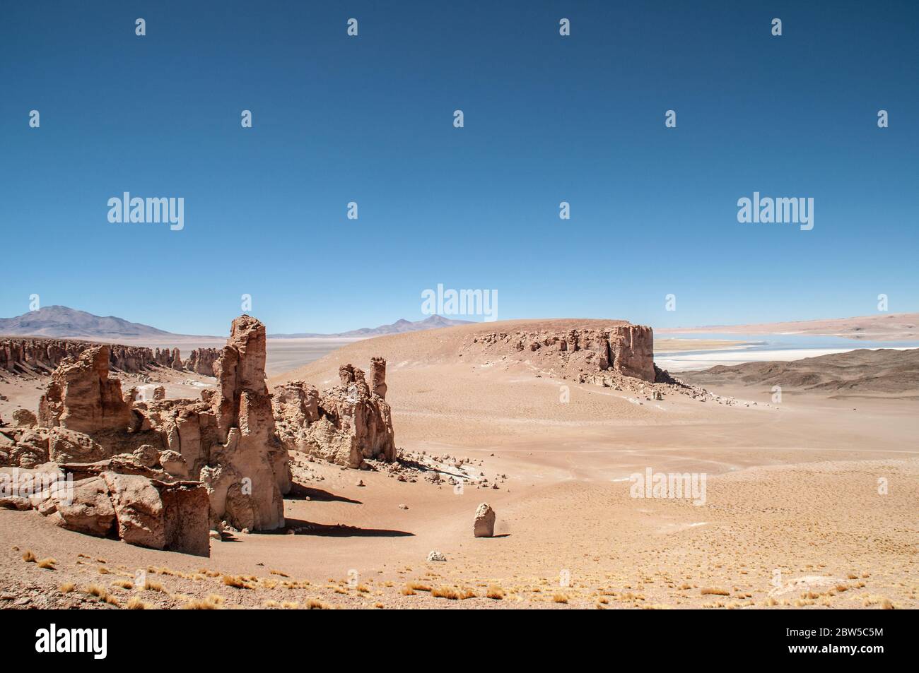 Einsame Raketen in der Atacama Wüste in Chile Stockfoto