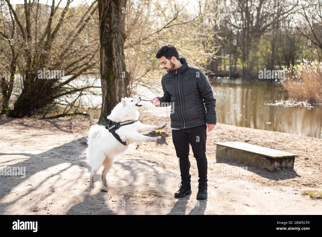 Ein Mann, der an einem kalten Tag mit einem Hund, Jamie, im Freien spielt Stockfoto