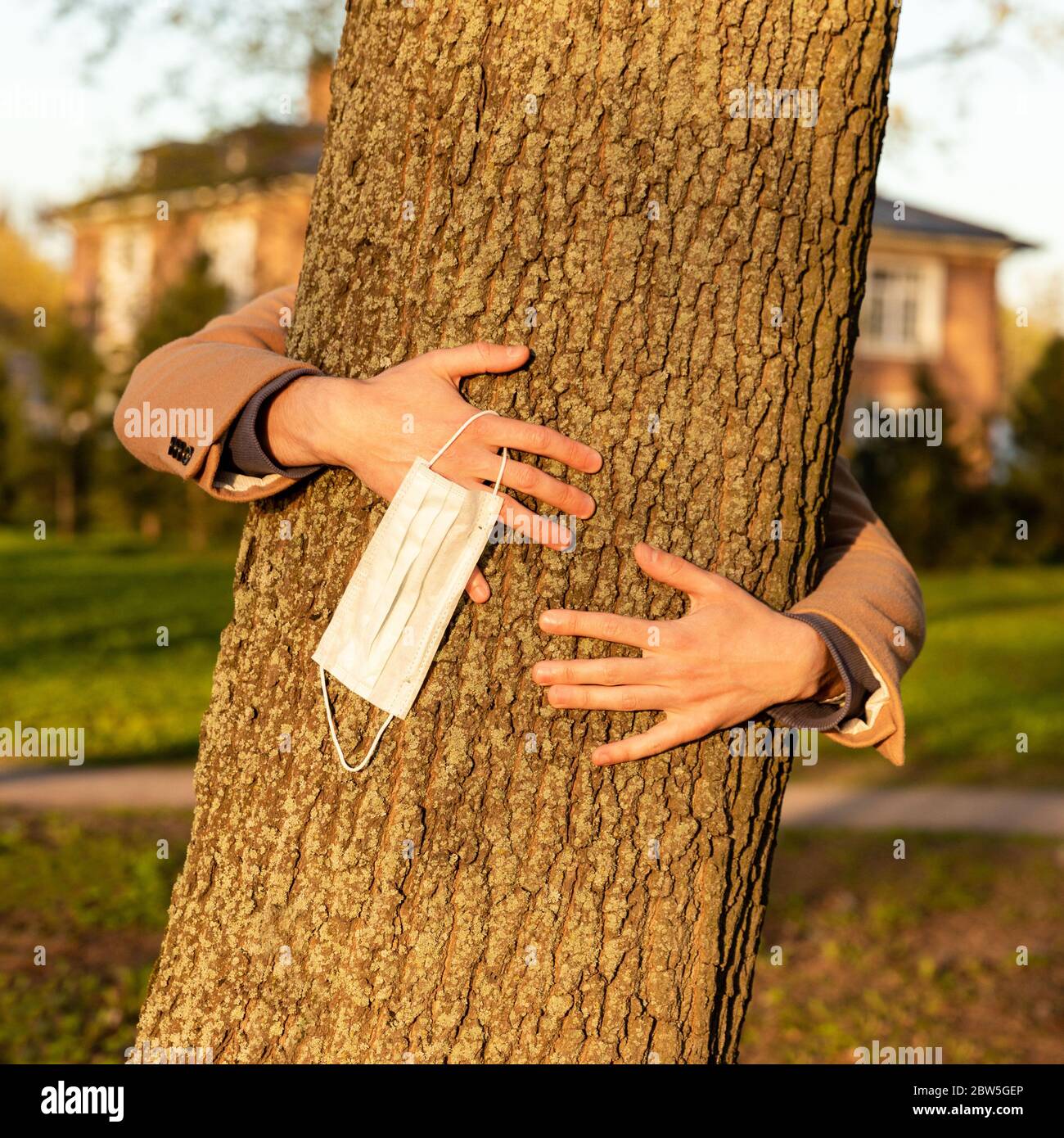 Nahaufnahme der Hände umarmen einen Baum und zieht medizinische Schutzmaske aus, hält sie an ihren Fingern, genießt das Leben, atmen frische Luft im Park ohne Stockfoto