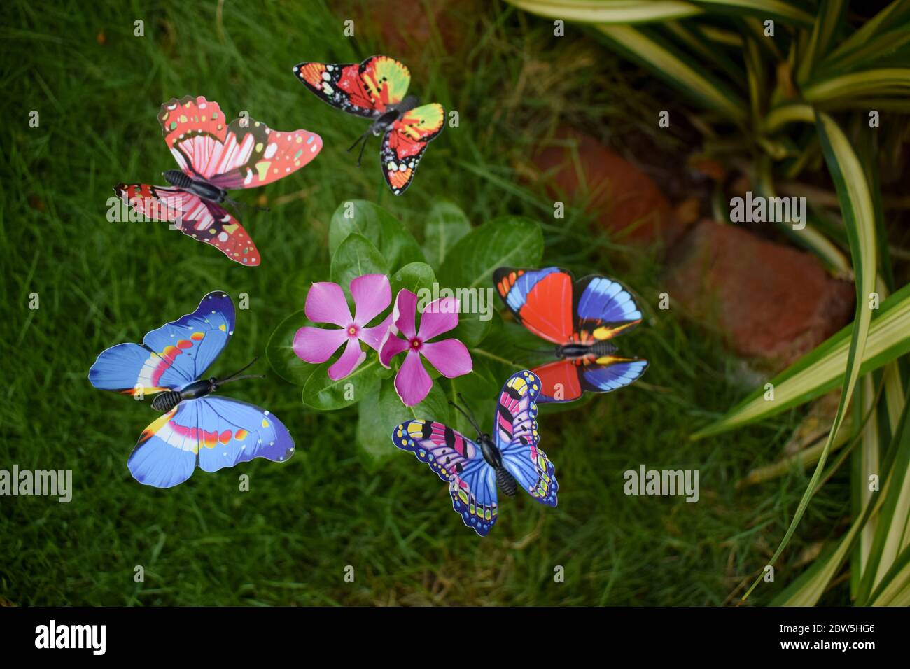 Draufsicht der verschiedenen bunten Schmetterlinge für Gartendekoration auf Buschstrauch Pflanze, die eine lila rosa vinca Periwinkle Blume umgibt. Weihnachtsbaum Stockfoto