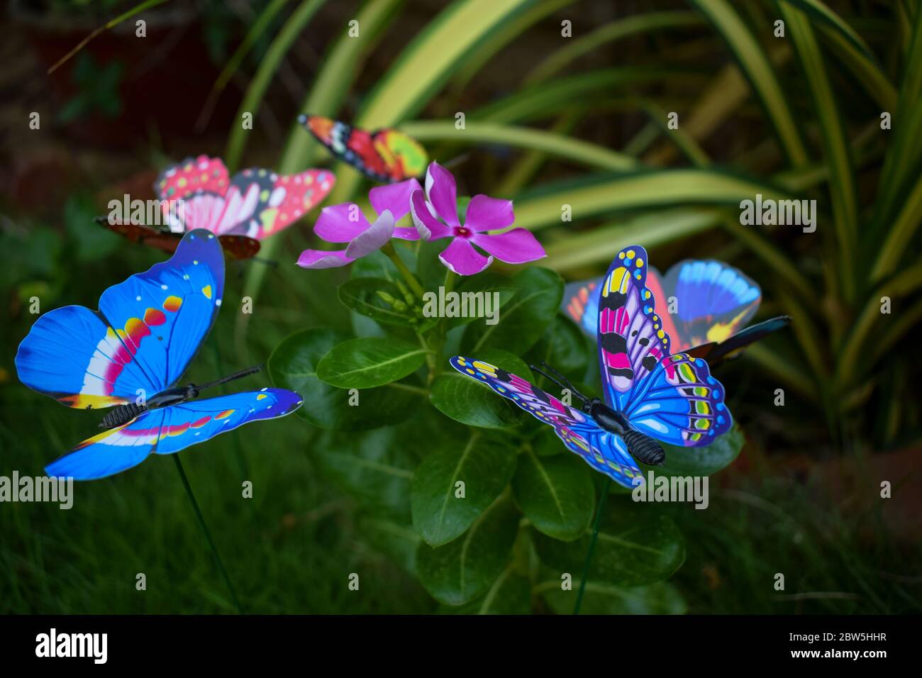 Seitenansicht der verschiedenen bunten Schmetterlinge für Gartendekoration auf Buschstrauch Pflanze, die eine lila rosa vinca Periwinkle Blume umgibt. Weihnachtsbaum Stockfoto