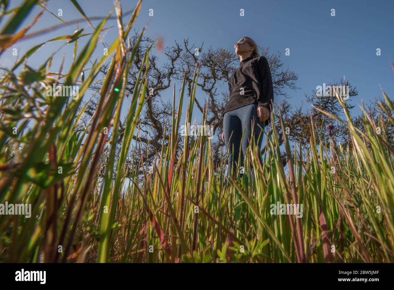 Eine blonde Frau, die im Gras steht, aus der Perspektive eines Käfer im Gras. Ungewöhnlicher Winkel von unten. Stockfoto