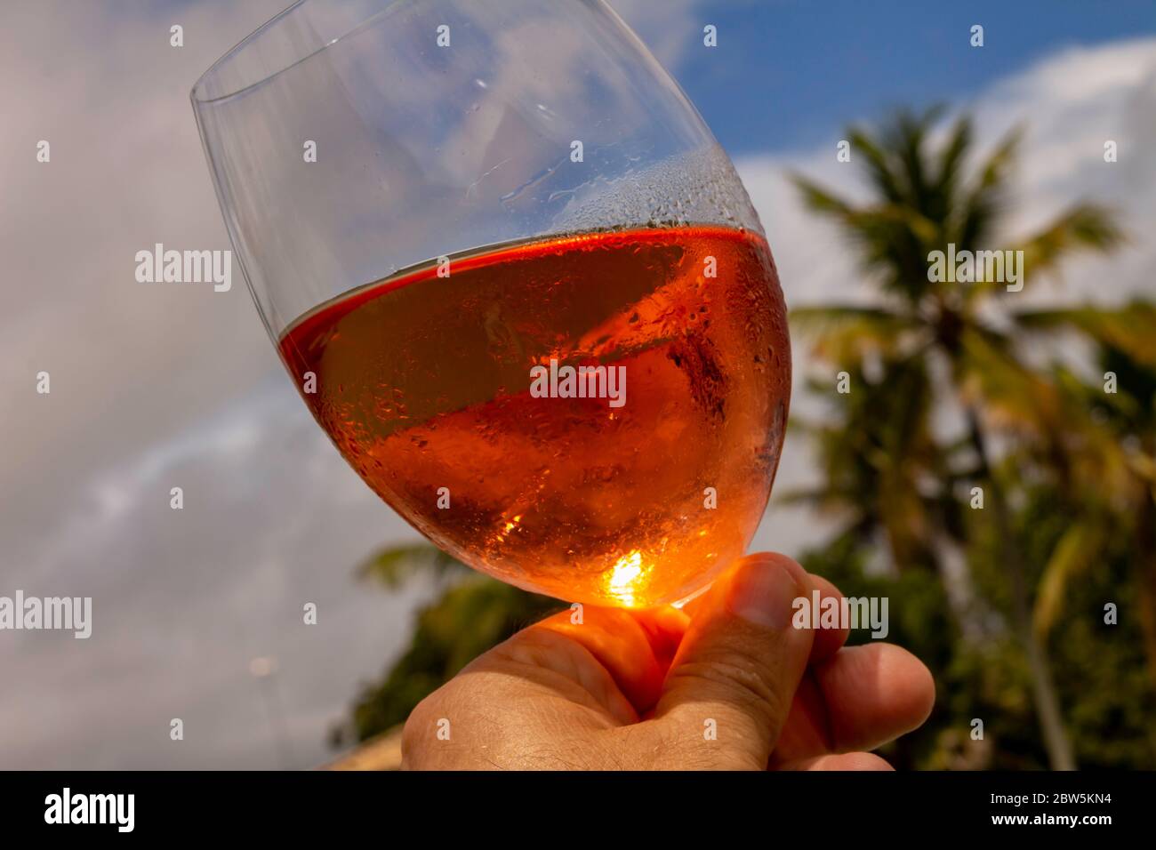 Kristallglas mit Roséwein in Toast-Haltung. Erstklassiges Konzept. Alkoholfreies und erfrischendes alkoholisches Getränk aus Trauben. Stockfoto