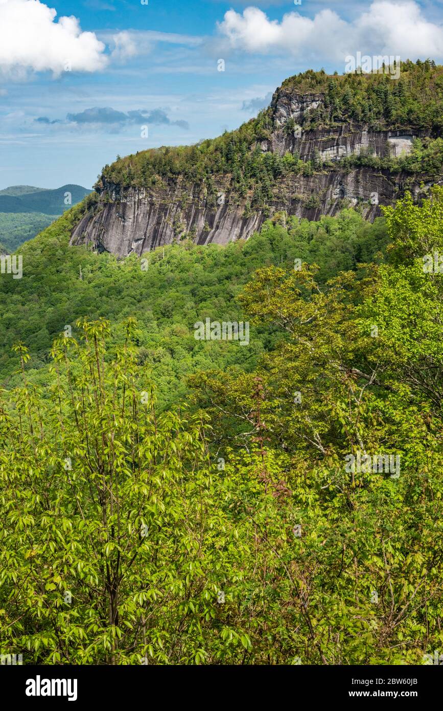 Whiteside Mountain im Nantahala National Forest zwischen Highlands und Cashiers, North Carolina. (USA) Stockfoto