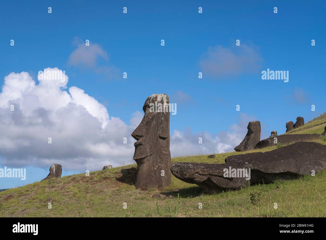 Moai im Steinbruch Rano Raraku auf der Osterinsel Chile Stockfoto