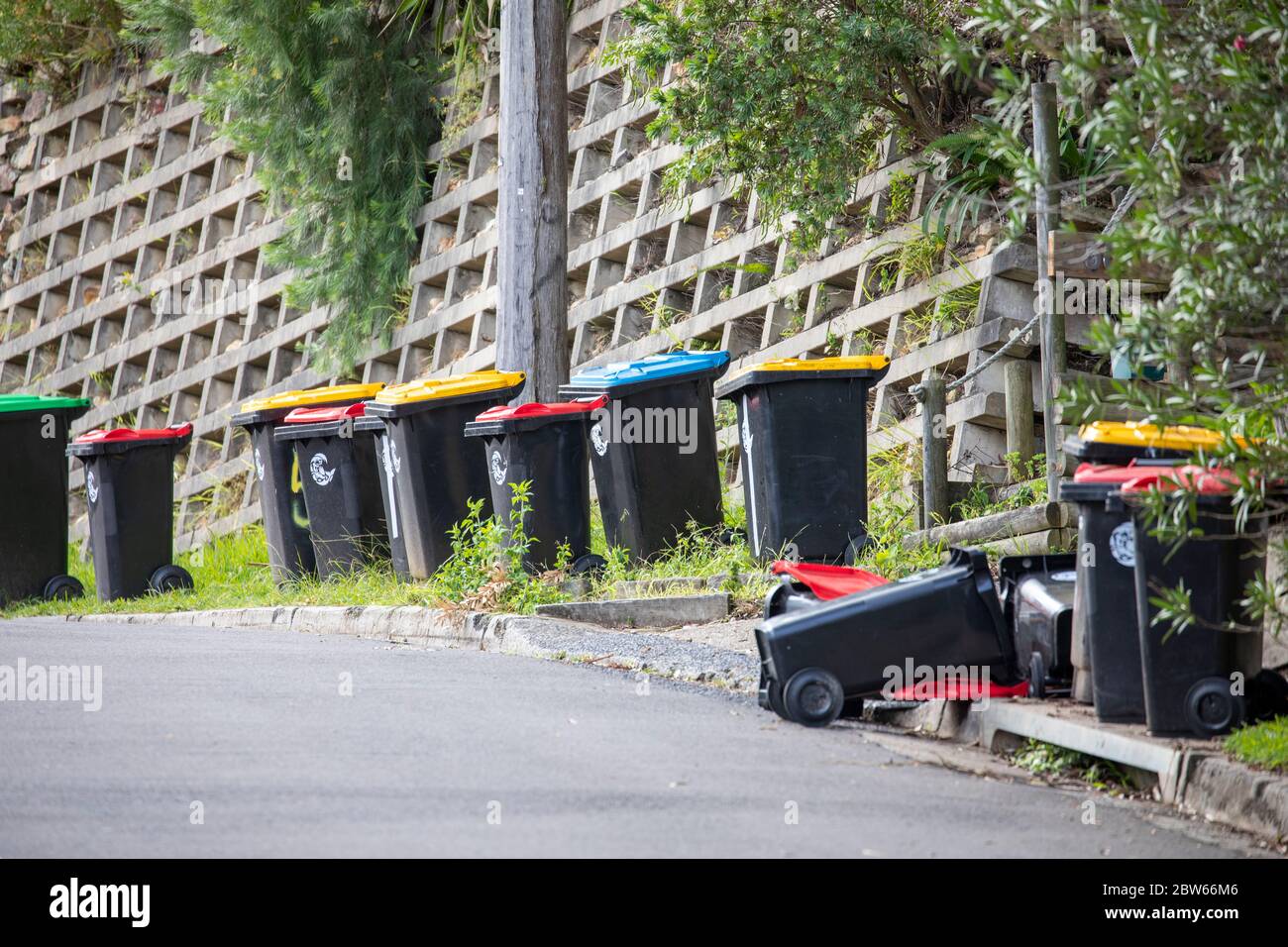 Der Haushalt recycelt Wheelie-Mülleimer in einer Straße in Sydney, nachdem er vom australischen müllsammeldienst des rates geleert wurde Stockfoto
