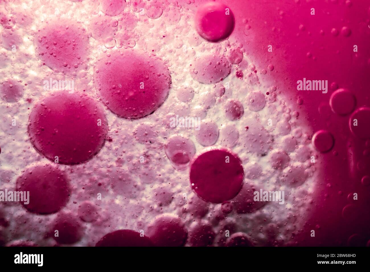Vergrößerung der violetten Zellblasen. Evolution und Wachstum in der Mikrobiologie als Konzept Makrofotografie Vollformat Hintergrund. Stockfoto