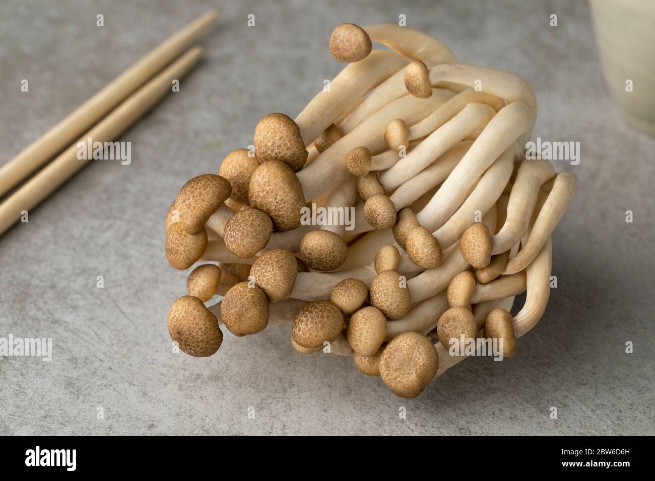 Cluster von frischen braunen Shimeji Pilze aus der Nähe bereit zum Kochen Stockfoto