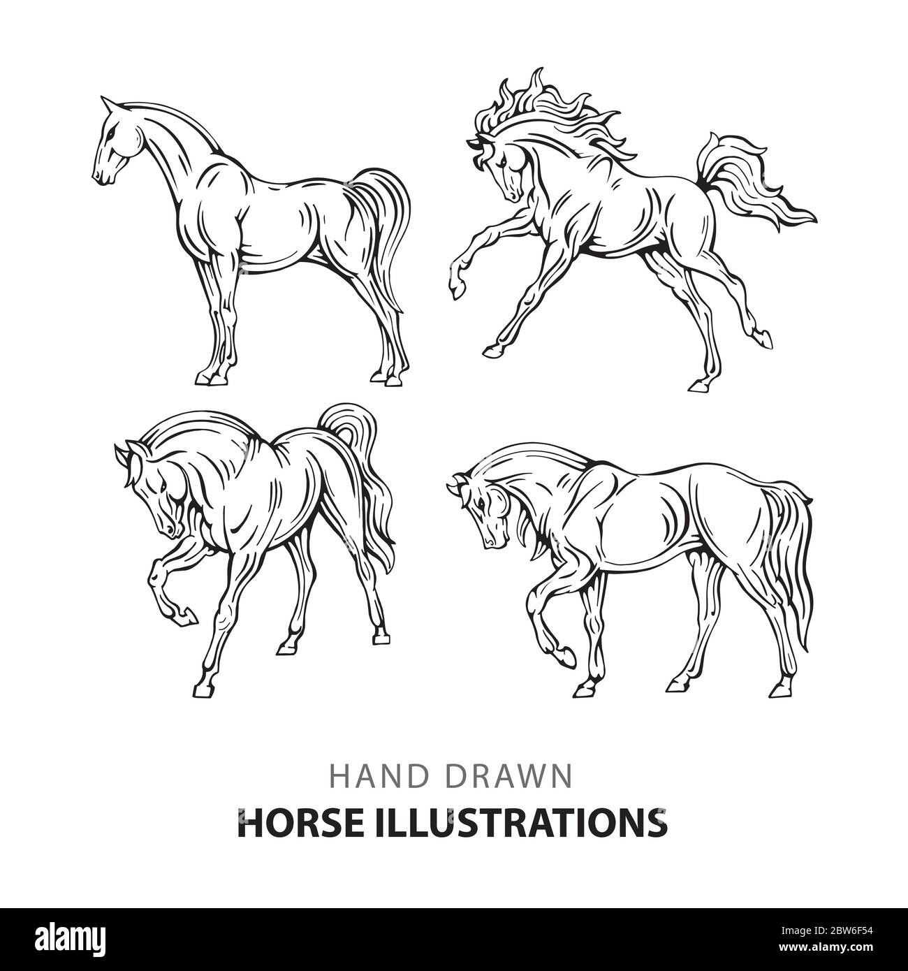 Pferd. Handgezeichnete Pferd Illustrationen Set. Skizze Zeichnung Pferde in verschiedenen Posen. Teil des Sets. Stock Vektor