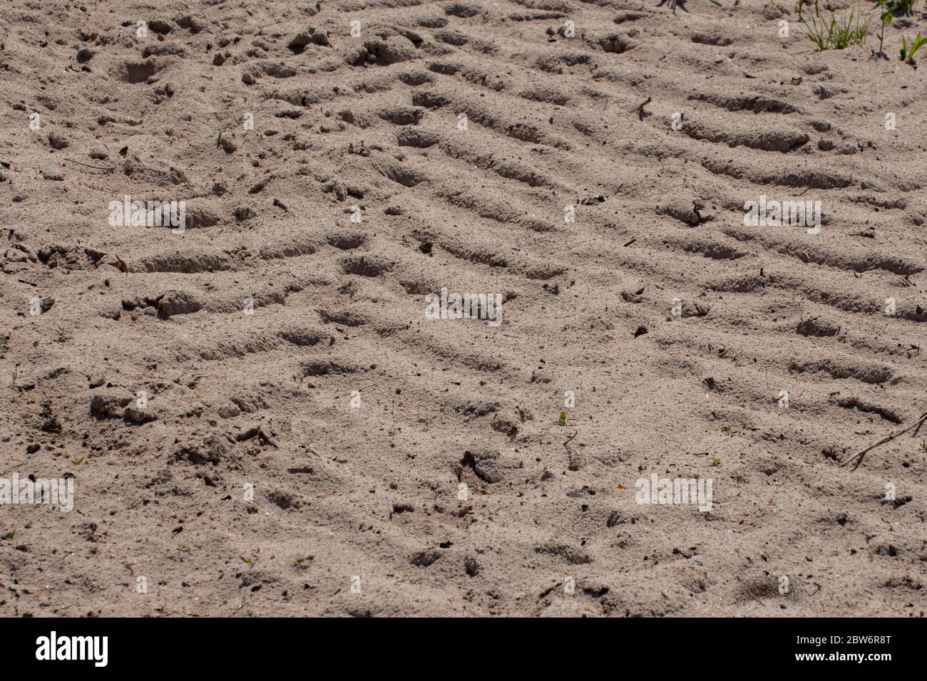 Traktorreifen Spuren im Sand Stockfoto