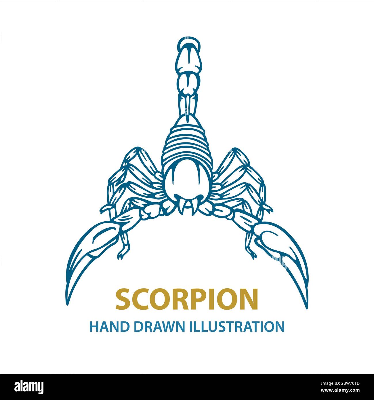 Scorpion. Handgezeichnete Skorpion-Vektorgrafik. Scorpion Tattoo. Vektorgrafik. Teil des Sets. Stock Vektor