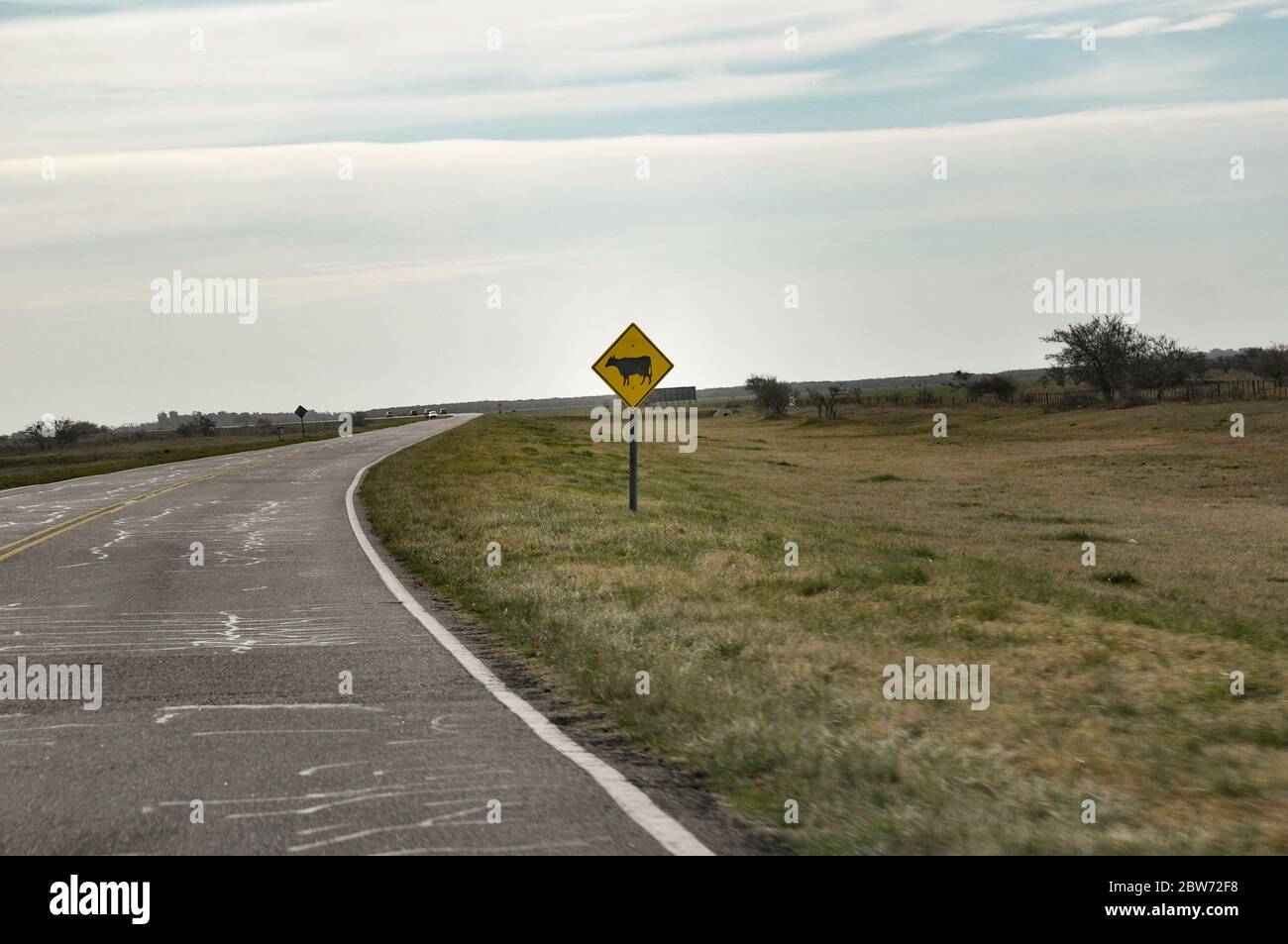Landstraße in Argentinien, Provinz Buenos Aires, während einer Fahrt, Kuh Warnschild Stockfoto
