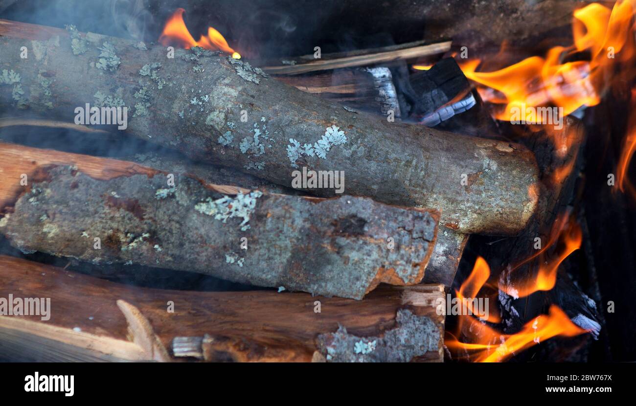 Feuerkholz. Meldet sich im Feuer an. Rauch von Lagerfeuer. Holz brennend im Feuer beleuchtet. Stockfoto