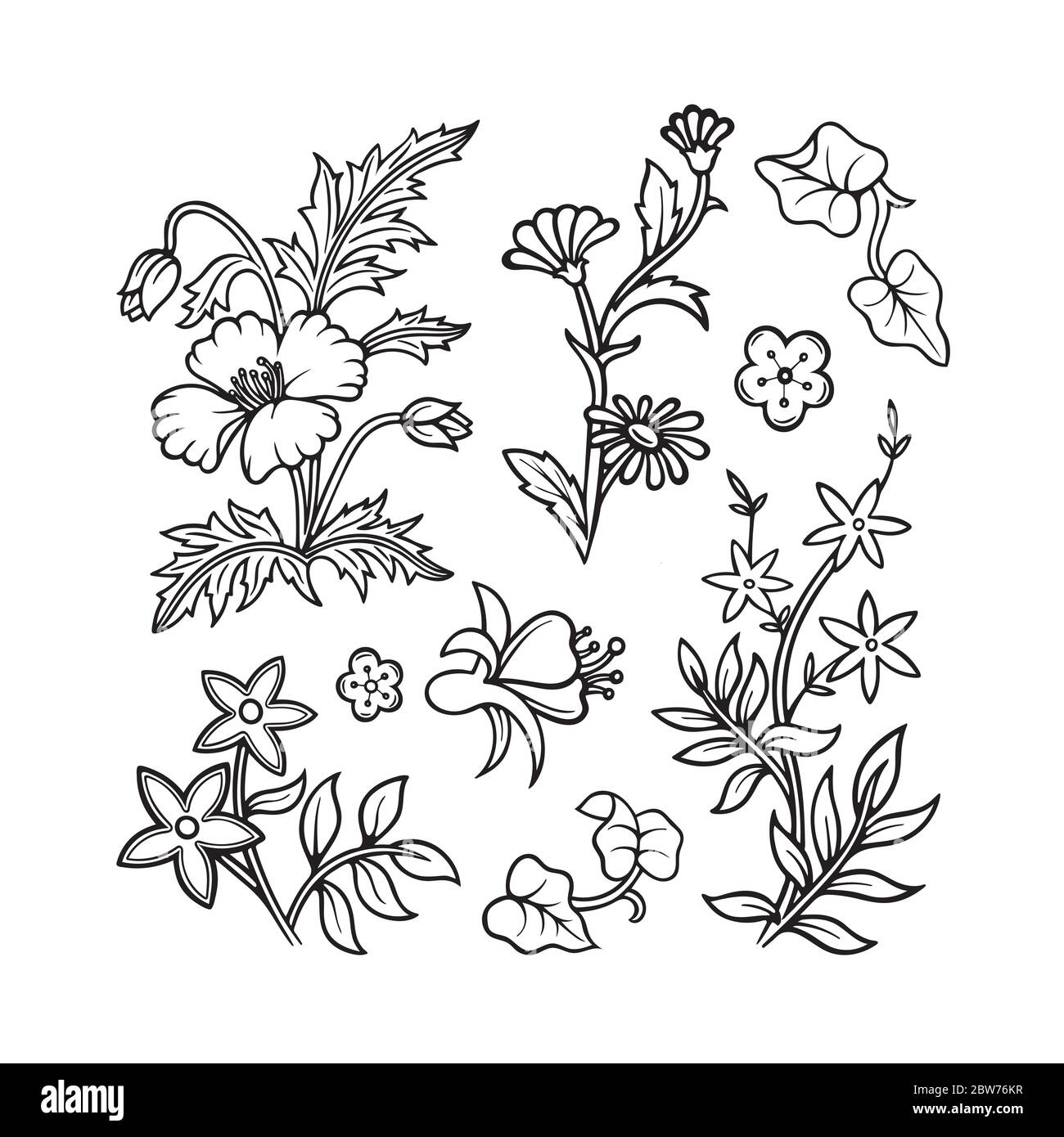 Blumen. Doodle Blumen und Pflanzen Vektor-Illustrationen Set. Handgezeichneter floraler Ornament Konstruktor. Teil des Sets. Stock Vektor