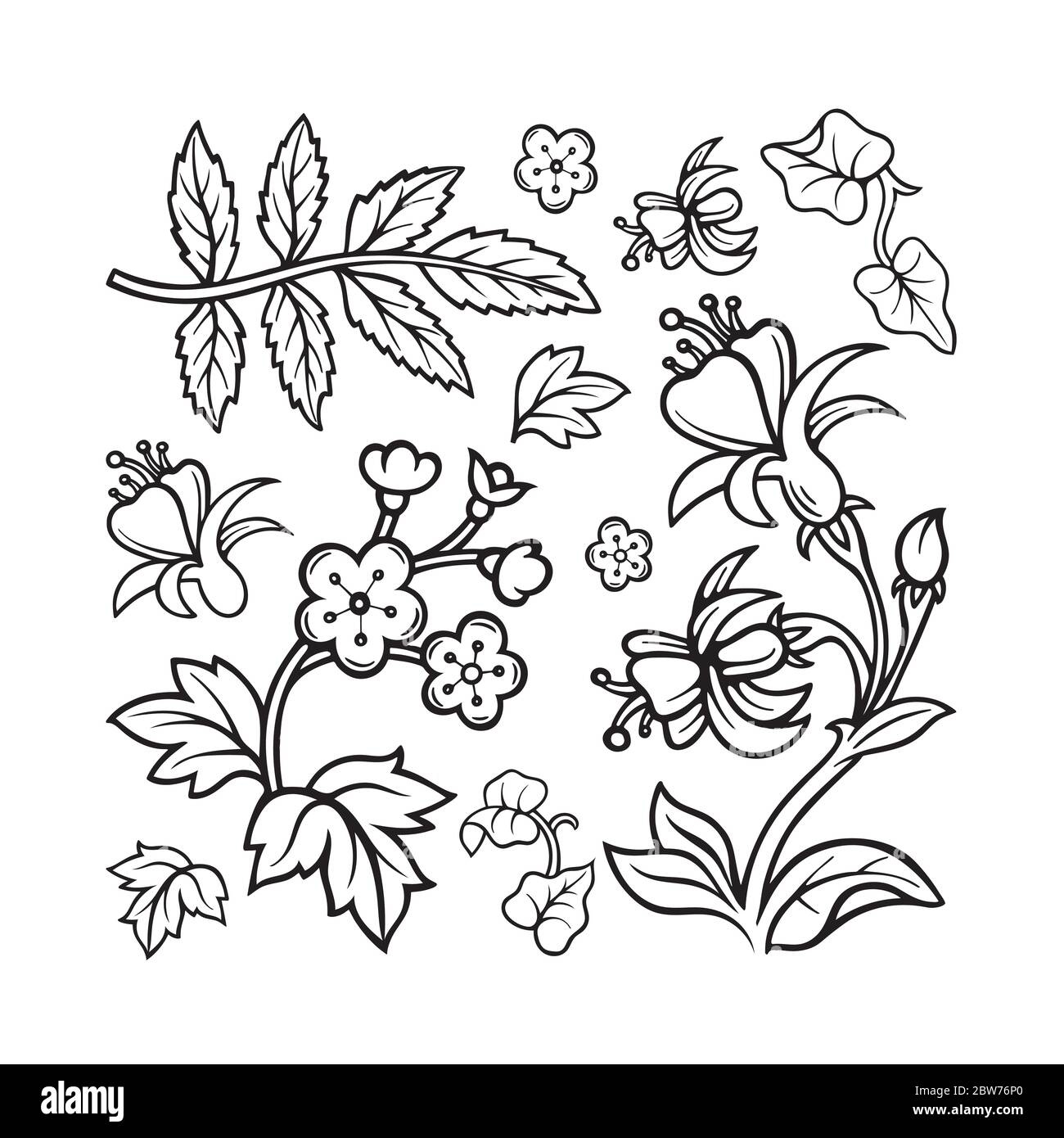 Blumen. Doodle Blumen und Pflanzen Vektor-Illustrationen Set. Handgezeichneter floraler Ornament Konstruktor. Teil des Sets. Stock Vektor