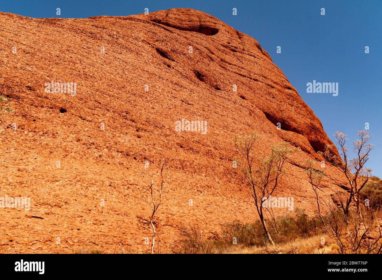 KATA TJUTA / DIE OLGAS, NORTHERN TERRITORIES, AUSTRALIEN Stockfoto