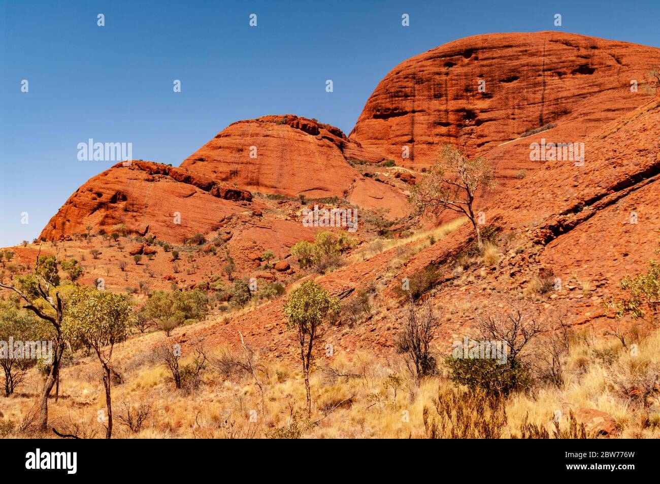 KATA TJUTA / DIE OLGAS, NORTHERN TERRITORIES, AUSTRALIEN Stockfoto