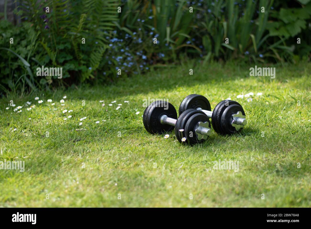 Ein Satz Hantelgewichte in einem natürlichen Garten Fitness-Studio während der Lockdown. Stockfoto