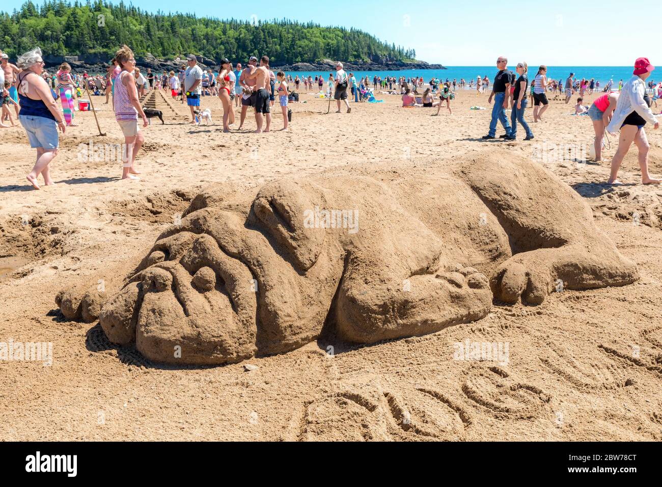 New River Beach, New Brunswick, Kanada - 7. Juli 2018: Der jährliche Wettbewerb für Sandskulpturen. Eine große Skulptur eines Hundes. Stockfoto