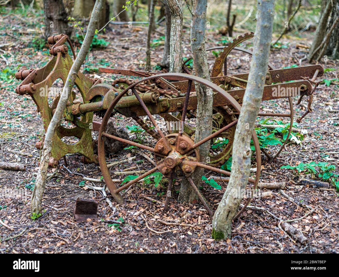 Alte Landmaschinen in den Wäldern in Cambridgeshire UK aufgegeben Stockfoto