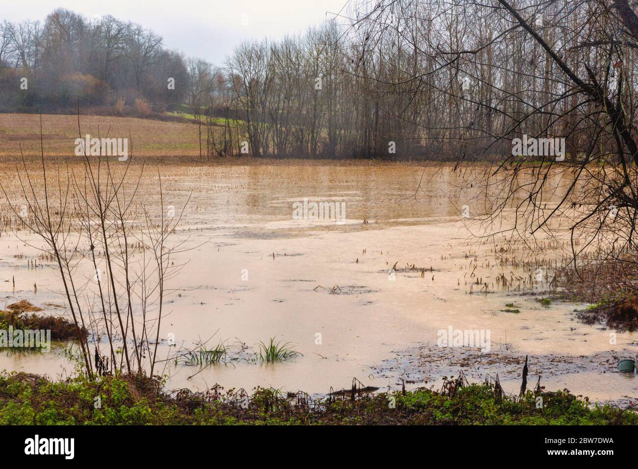 Überflutete Felder im Januar 2014 außerhalb Manciet, Departement Gers, Midi-Pyrénées, Frankreich. Stockfoto