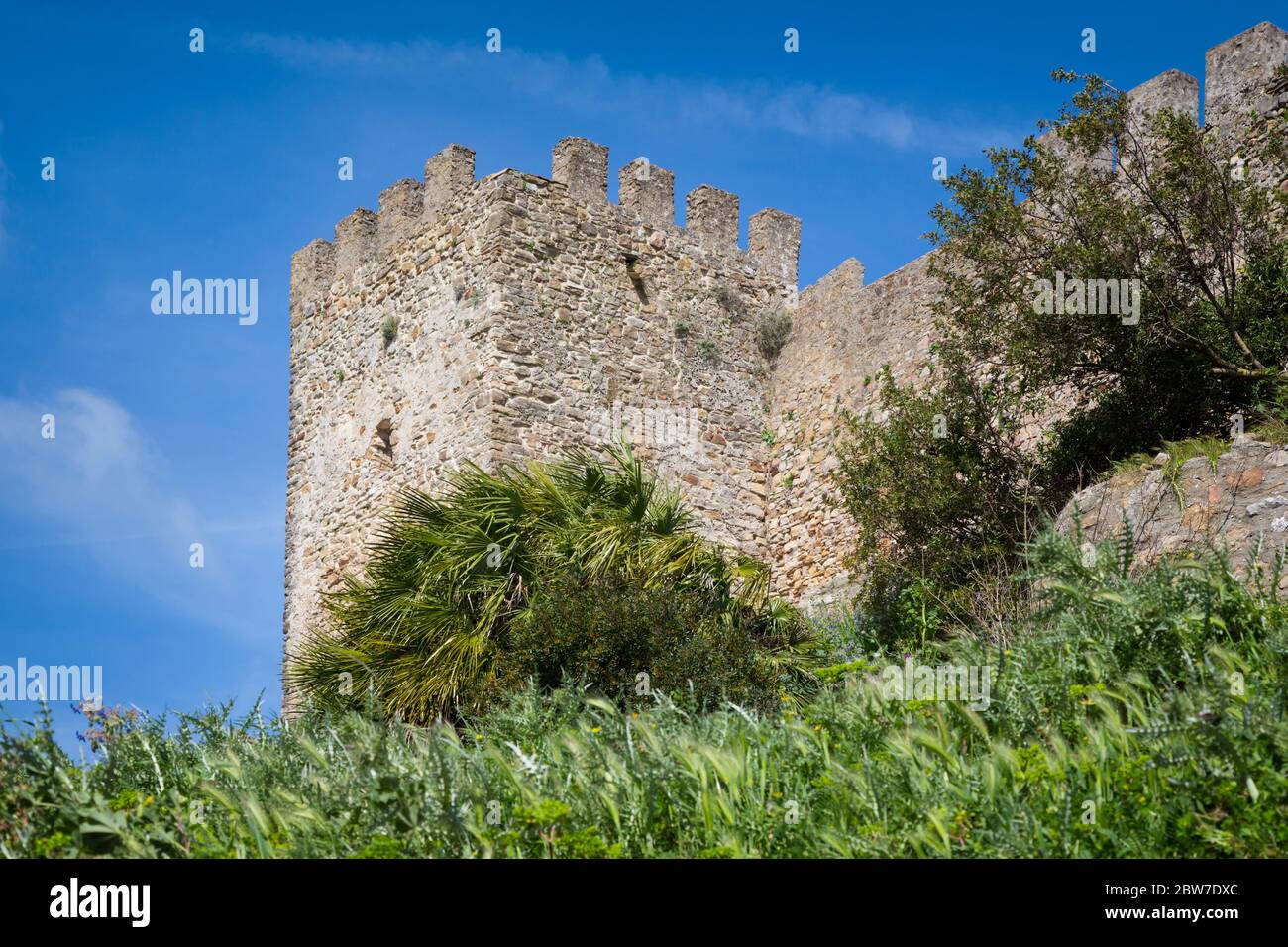 Castellar de la Frontera, Provinz Cadiz, Andalusien, Südspanien. Detail der Wände. Stockfoto