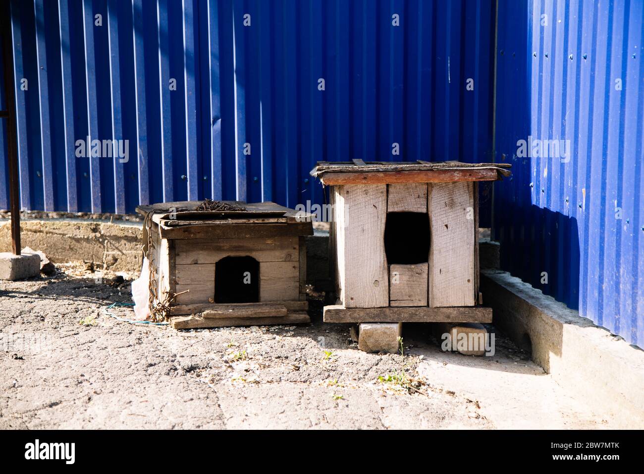 Draußen zwei sehr alte Holzhunde Stockfoto