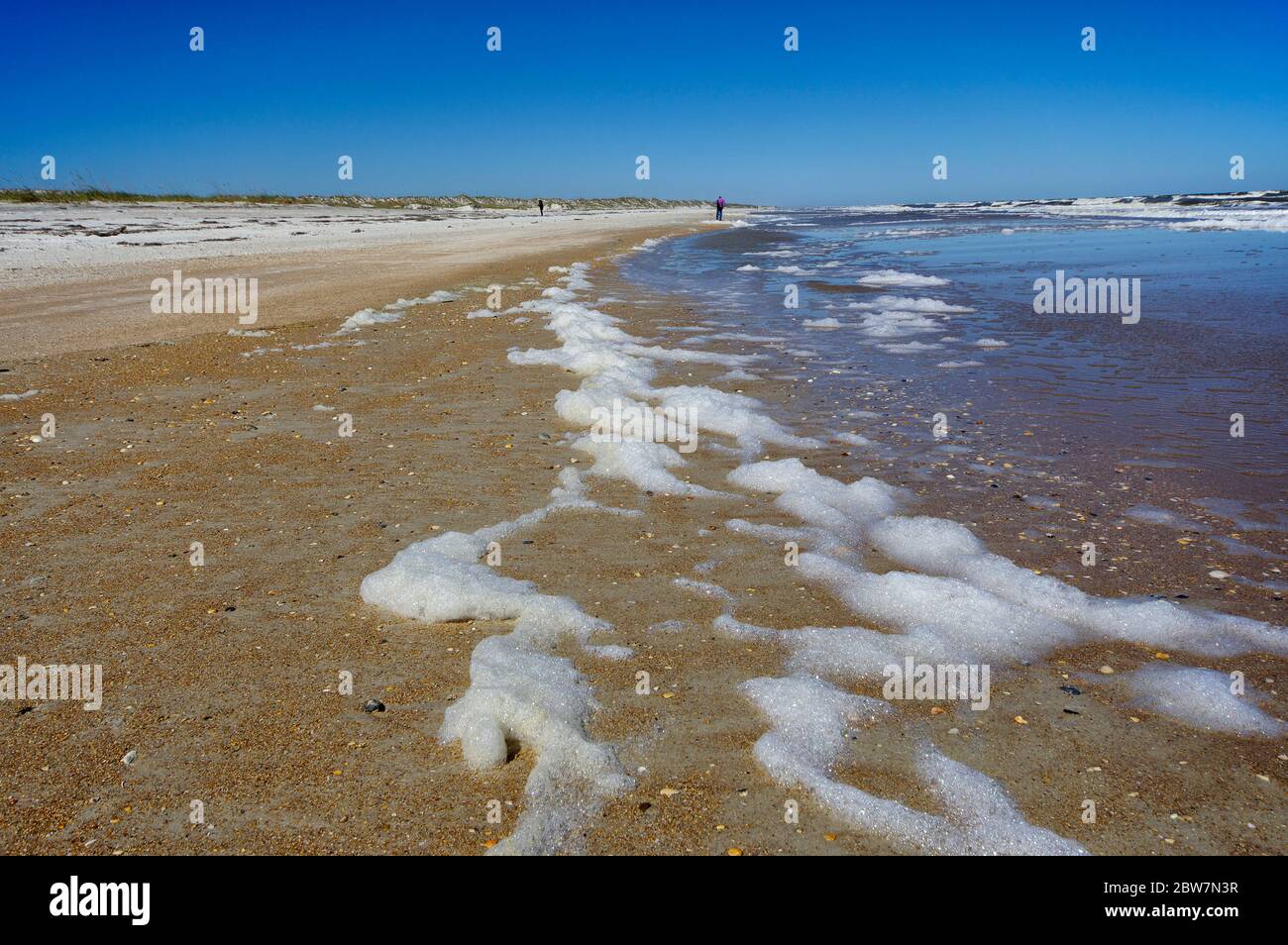 Anastasia State Park in St. Augustine ist ein gutes Ziel für den Winter Sonne Urlaub, Florida, USA Stockfoto