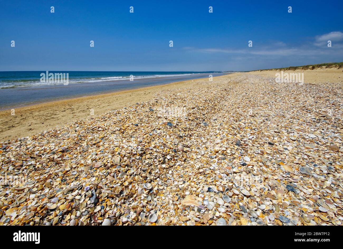 Die Landschaft der Muschelstrand im Coto de Donana Nationalpark in Andalusien, Spanien Stockfoto