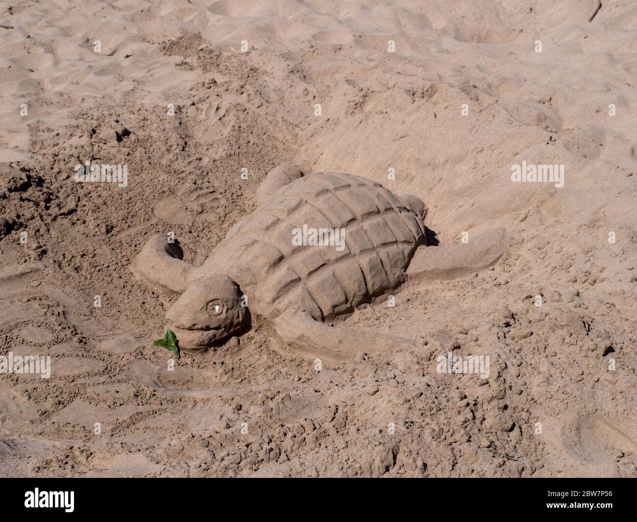 INSTOW, DEVON, UK - MAI 25 2020: Schildkrötensandskulptur am Strand. Ziemlich gut! Kreativität bei Lockdown, Covid Crisis. Stockfoto
