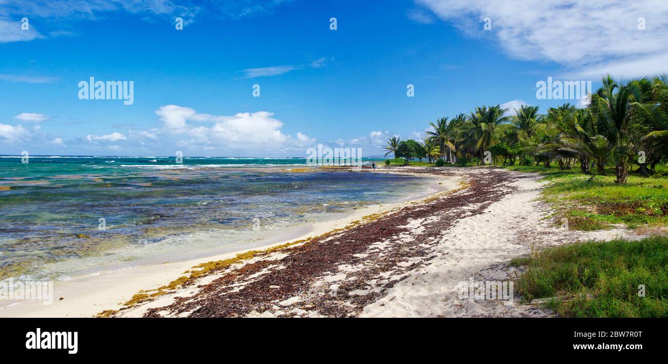 Strand in Le Moule in Guadeloupe, Französisch westindien. Kleine Antillen, Karibisches Meer Stockfoto