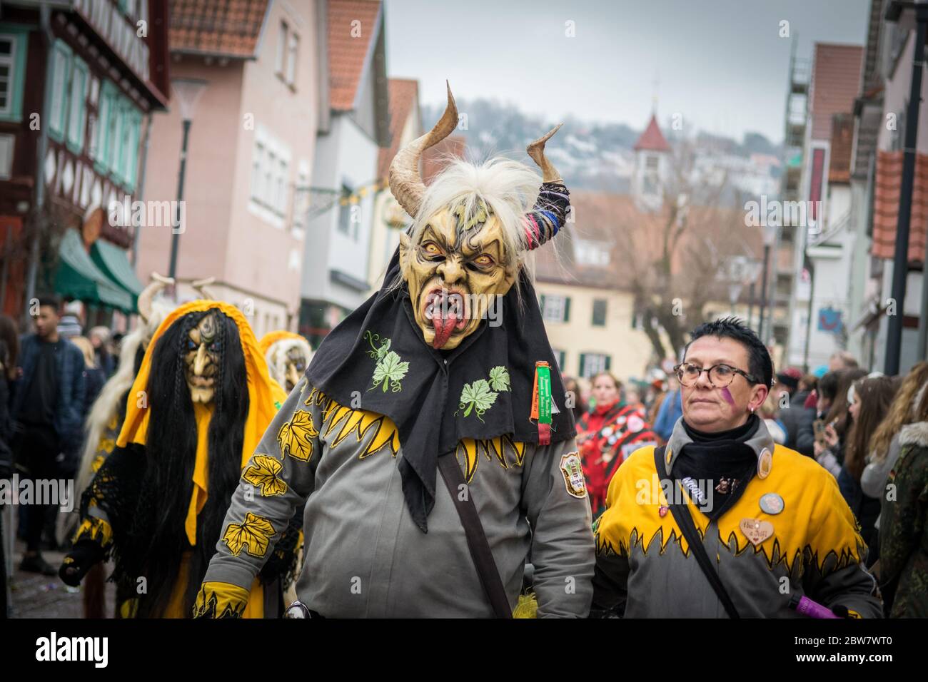 Faschingsumzug 2019 in Gerlingen / Landesnarrentreffen Stockfoto