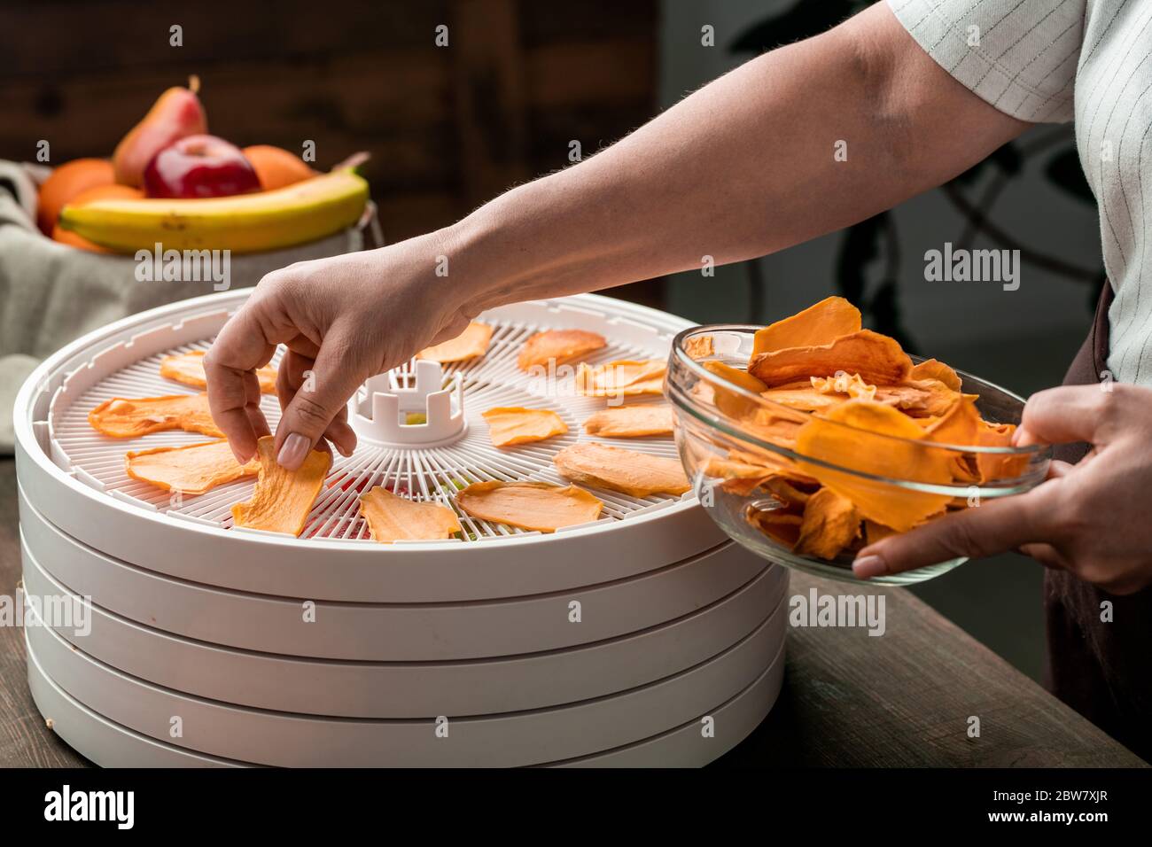 Hände der jungen Hausfrau, die Scheiben von gelben getrockneten Früchten in Glasschüssel setzt, während sie von runder oberer Schale des Lebensmitteltrockners nehmen Stockfoto