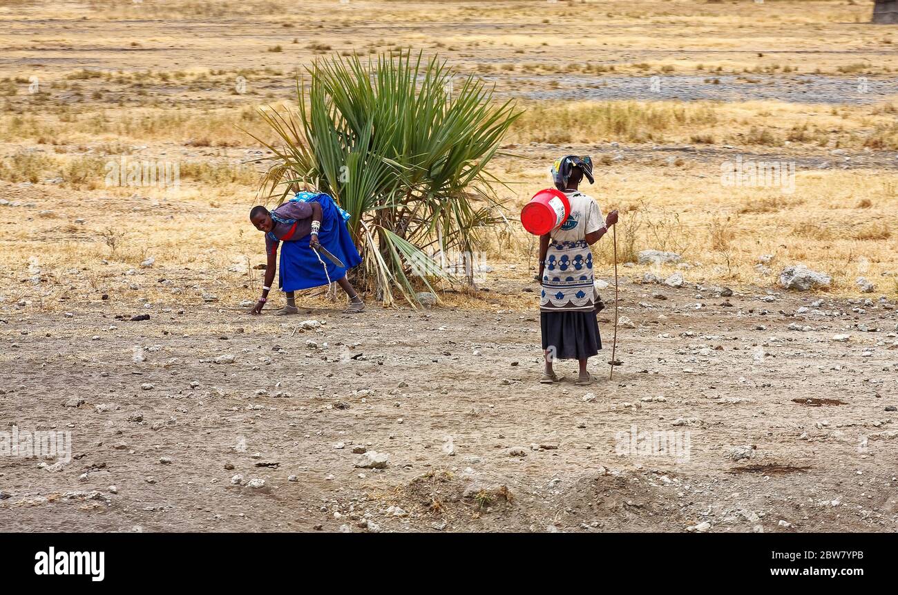 Zwei Frauen; Feldweg, afrikanische Kleidung, tragen roten Eimer um den Hals, Machete tragen, sich beugen, Menschen, Tansania; Afrika Stockfoto