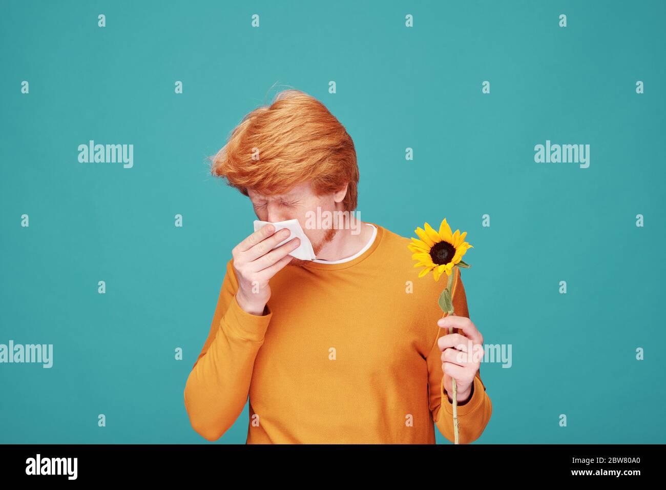 Junger allergischer Mann mit Sonnenblume, der Nase in Papiergewebe bläst, nachdem er die Blume riecht, während er vor der Kamera steht Stockfoto