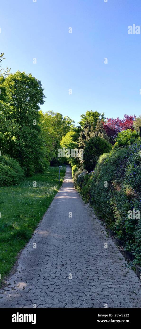 Spaziergang von Blumen Stockfoto