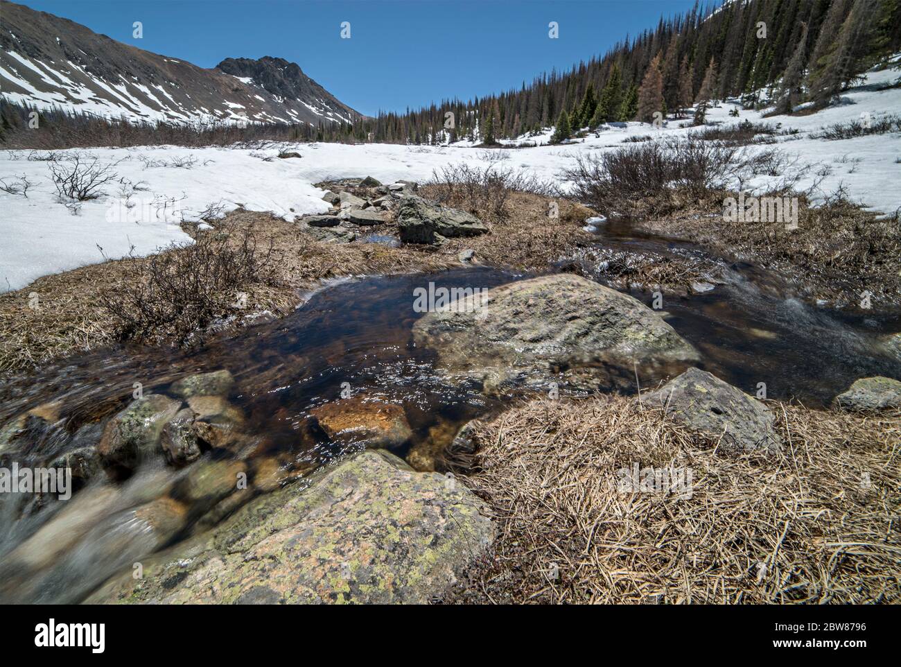 Chalk Creek in der Nähe der Geisterstädte St. Elmo und Hancock am Hancock Lake Trail in Chaffee County, Colorado, mit Monument Rocks im Hintergrund Stockfoto